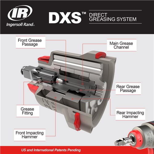 PTL_296_02_2024_DXS_Infographic_grease System
